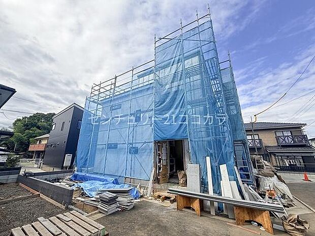 2025年10月24日撮影