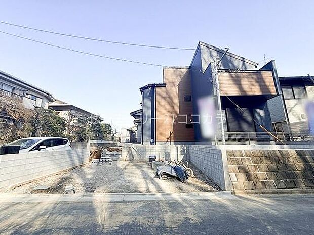 2026年3月1日撮影