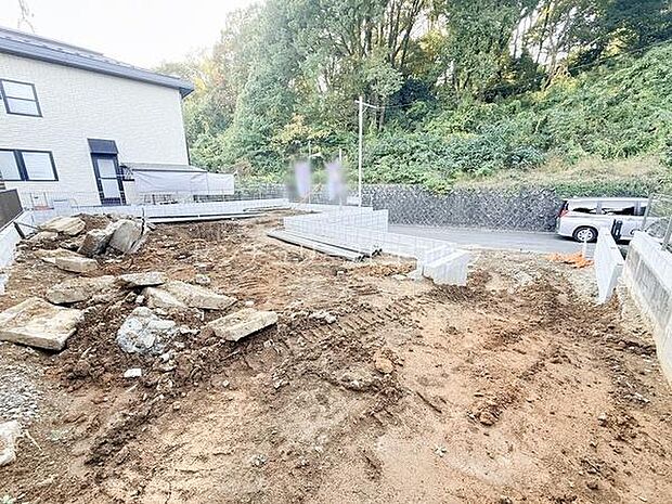 2025年11月7日撮影