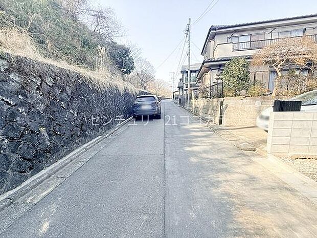 2026年3月1日撮影