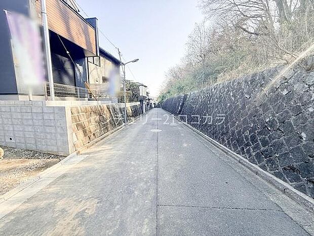 2026年3月1日撮影