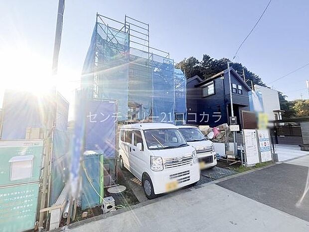 2025年11月20日撮影