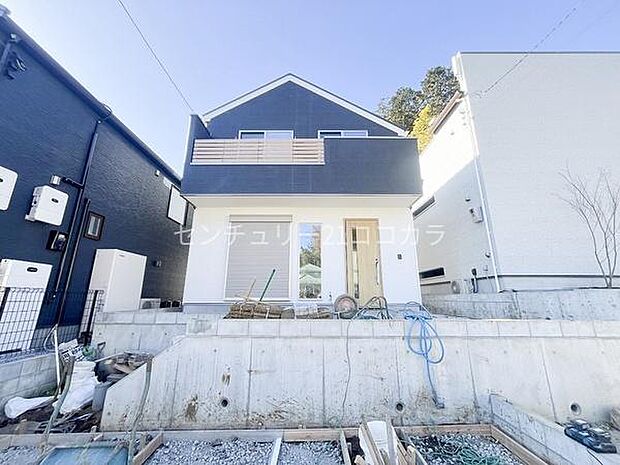 2025年12月12日撮影