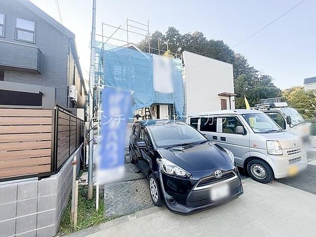 2025年11月20日撮影