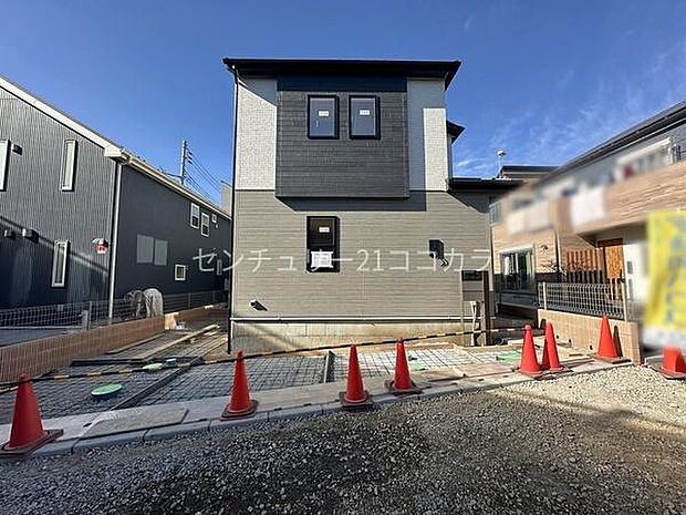 2025年11月24日撮影