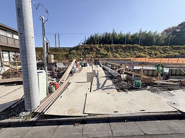 2025年11月28日撮影