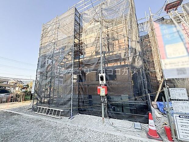 2025年11月20日撮影