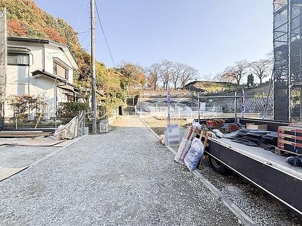 2025年11月20日撮影