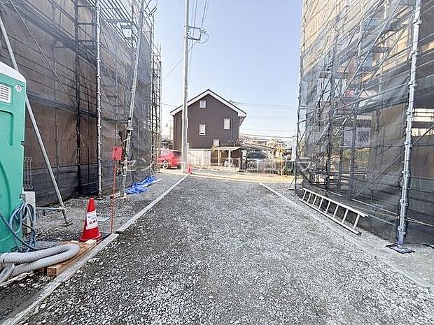 2025年11月20日撮影