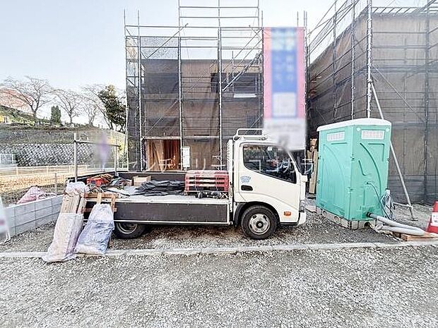 2025年11月20日撮影