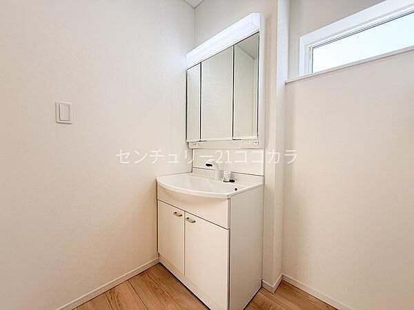 3面鏡シャンプードレッサー