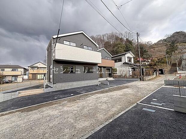 2026年2月2日撮影　全体写真