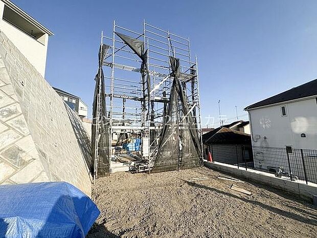 2025年11月20日撮影