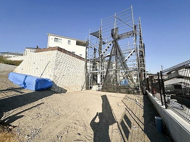 2025年11月20日撮影