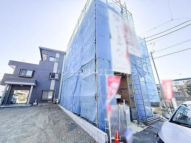 2026年3月1日撮影