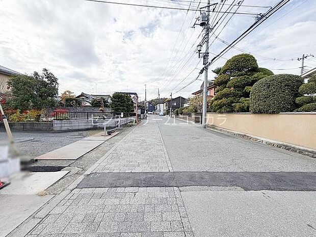 2025年11月27日撮影