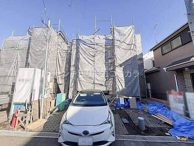 2025年11月28日撮影