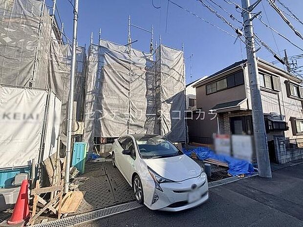 2025年11月28日撮影