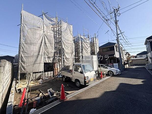 2025年11月28日撮影 全体写真