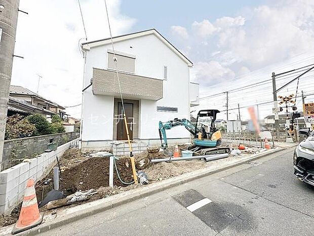 2025年11月13日撮影