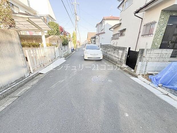 2025年11月20日撮影