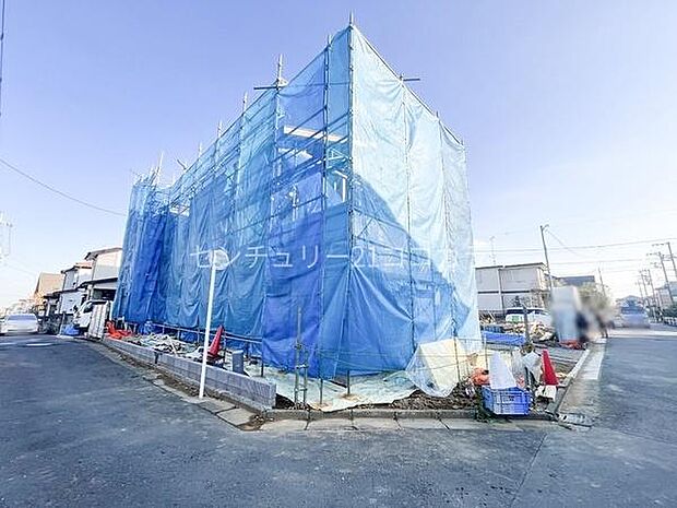 2025年11月20日撮影