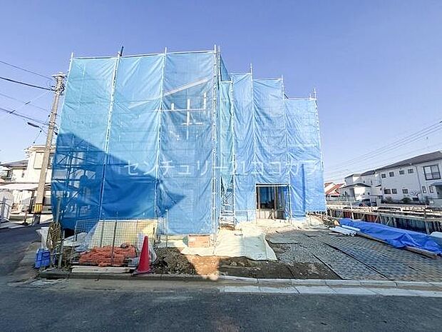 2025年11月20日撮影