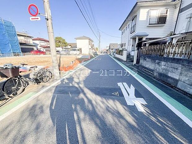 2025年11月20日撮影