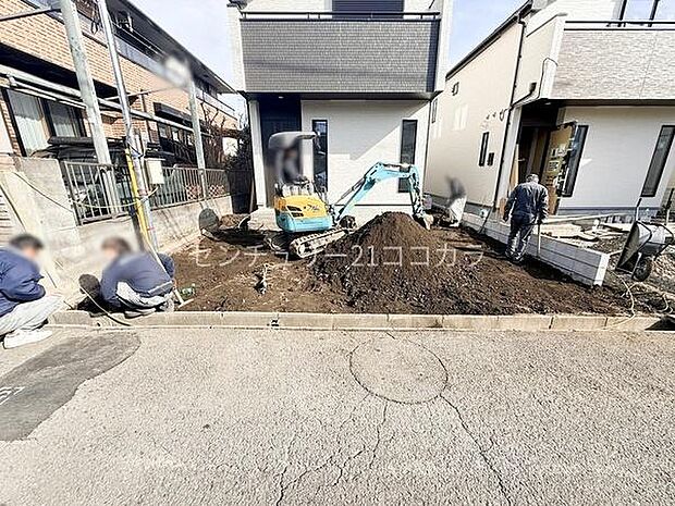 2026年2月5日撮影