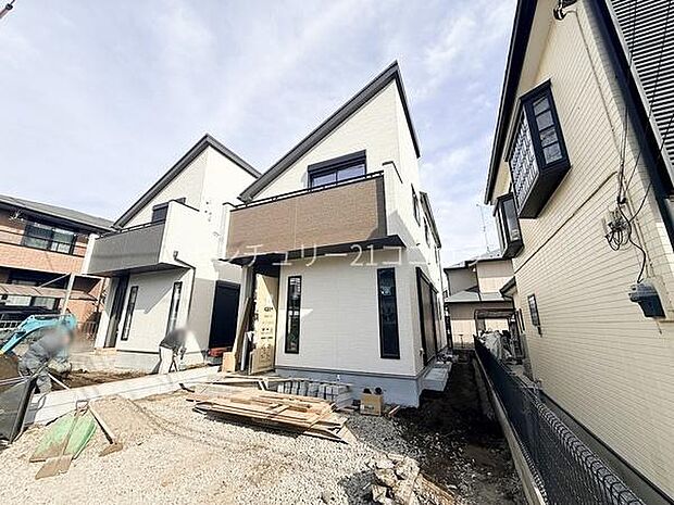 2026年2月5日撮影