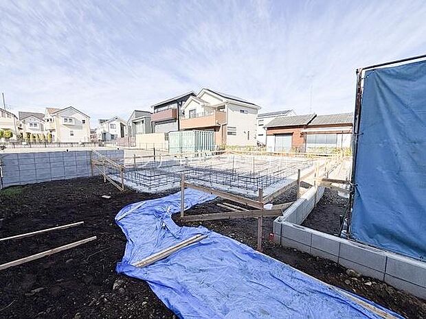 2025年11月24日撮影