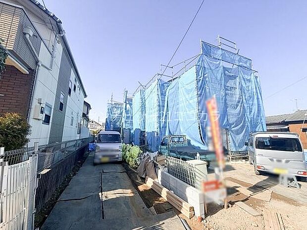 2026年1月17日撮影