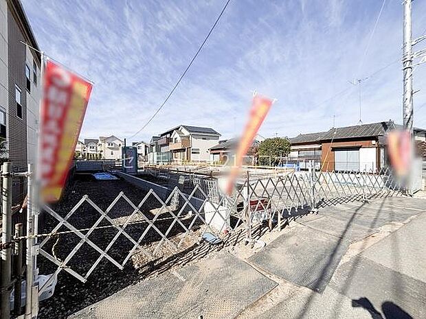 2025年11月24日撮影　全体写真