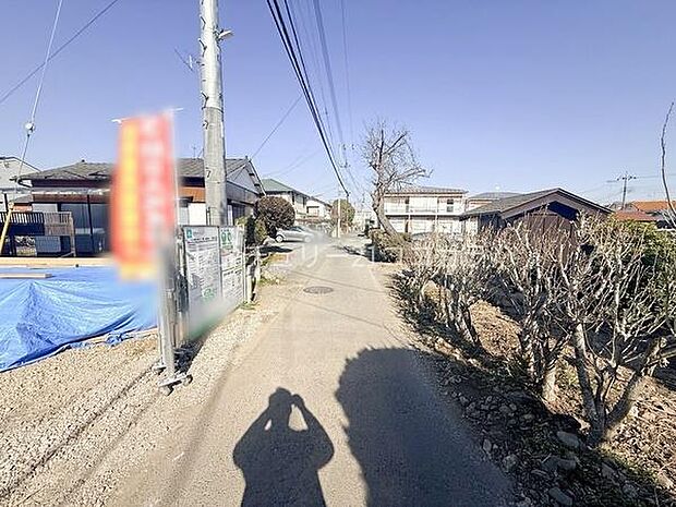 2026年1月17日撮影