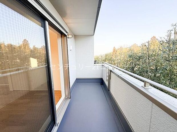 ルーフバルコニー