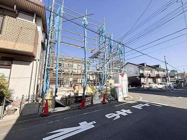 2025年11月30日撮影