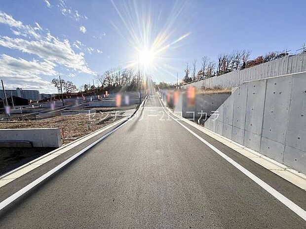 前面道路を含む現地写真