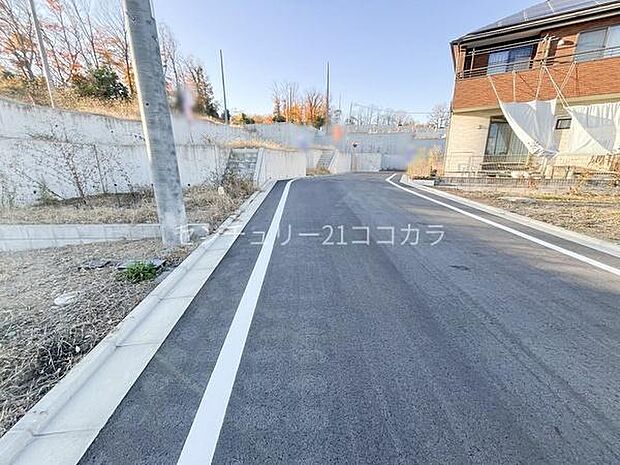 前面道路を含む現地写真