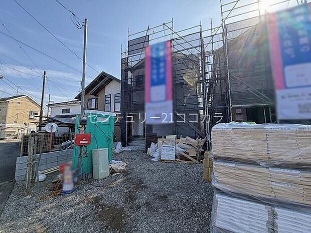 2026年3月9日撮影