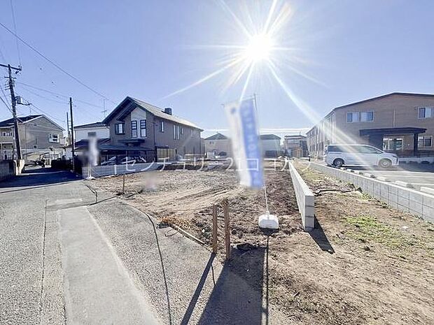 2025年12月12日撮影