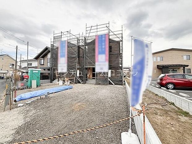 2026年1月29日撮影