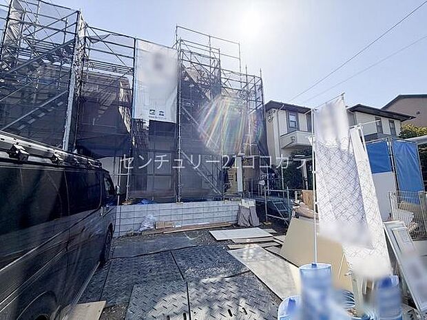 2026年3月5日撮影