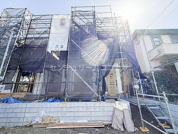 2026年3月5日撮影