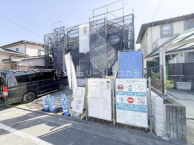 2026年3月5日撮影