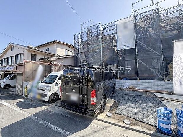 2026年3月5日撮影