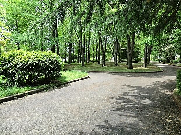 椚田公園まで605m