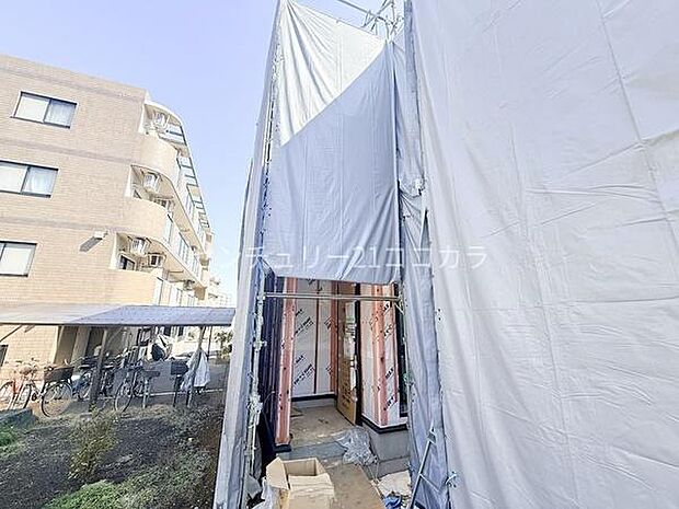 2026年3月15日撮影