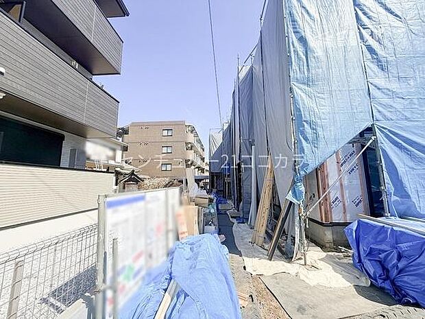 2026年3月15日撮影
