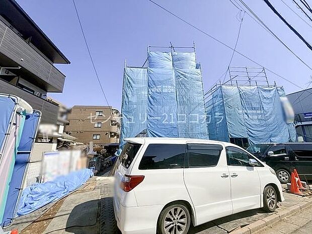 2026年3月15日撮影