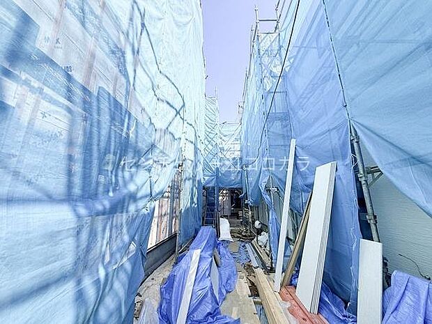 2026年3月15日撮影